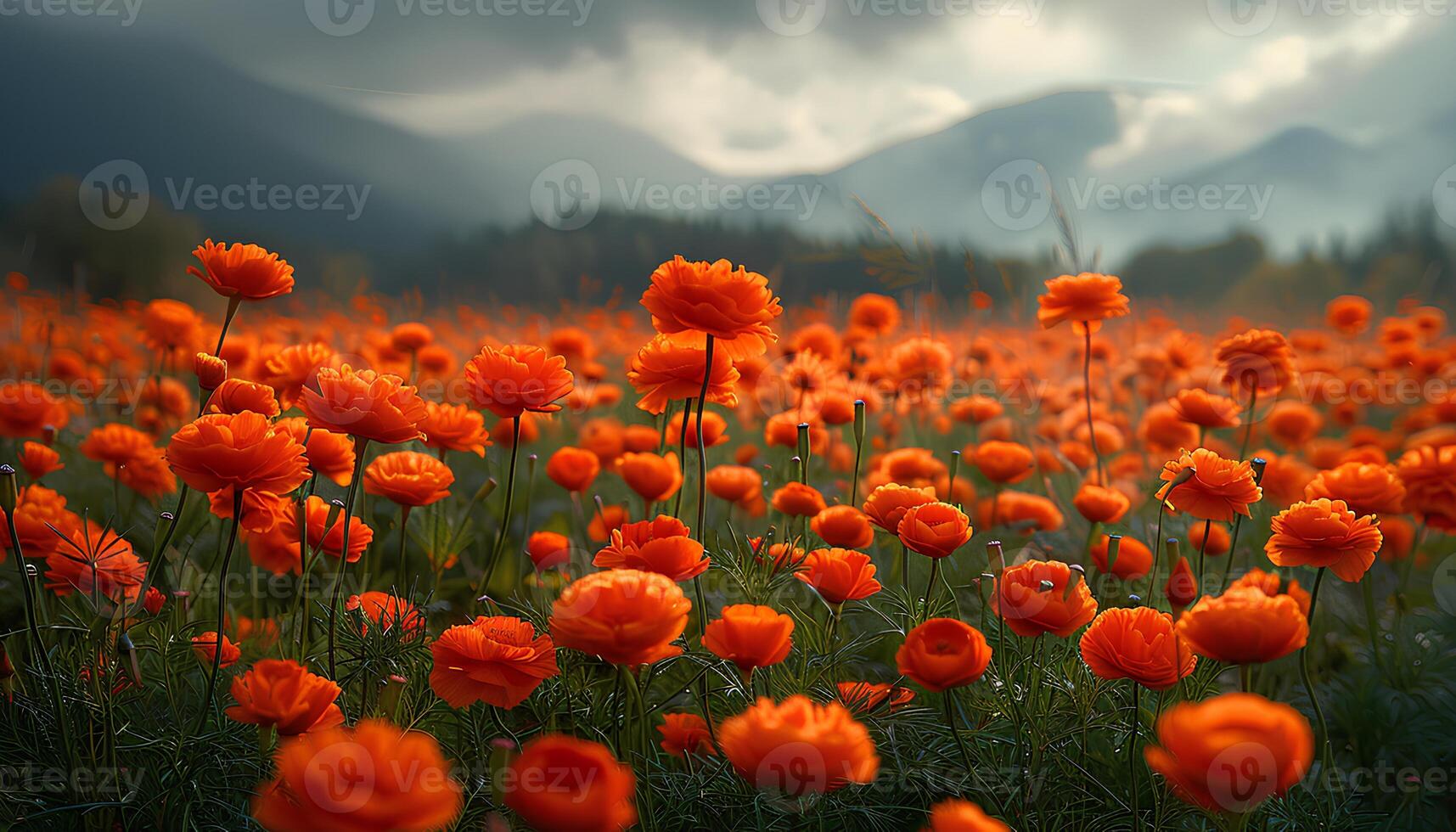 AI generated Marigold flower field in sunset. Orange marigold flower field blooming during the summer. Marigold flowers in sunrise. Orange flowers closeup photo