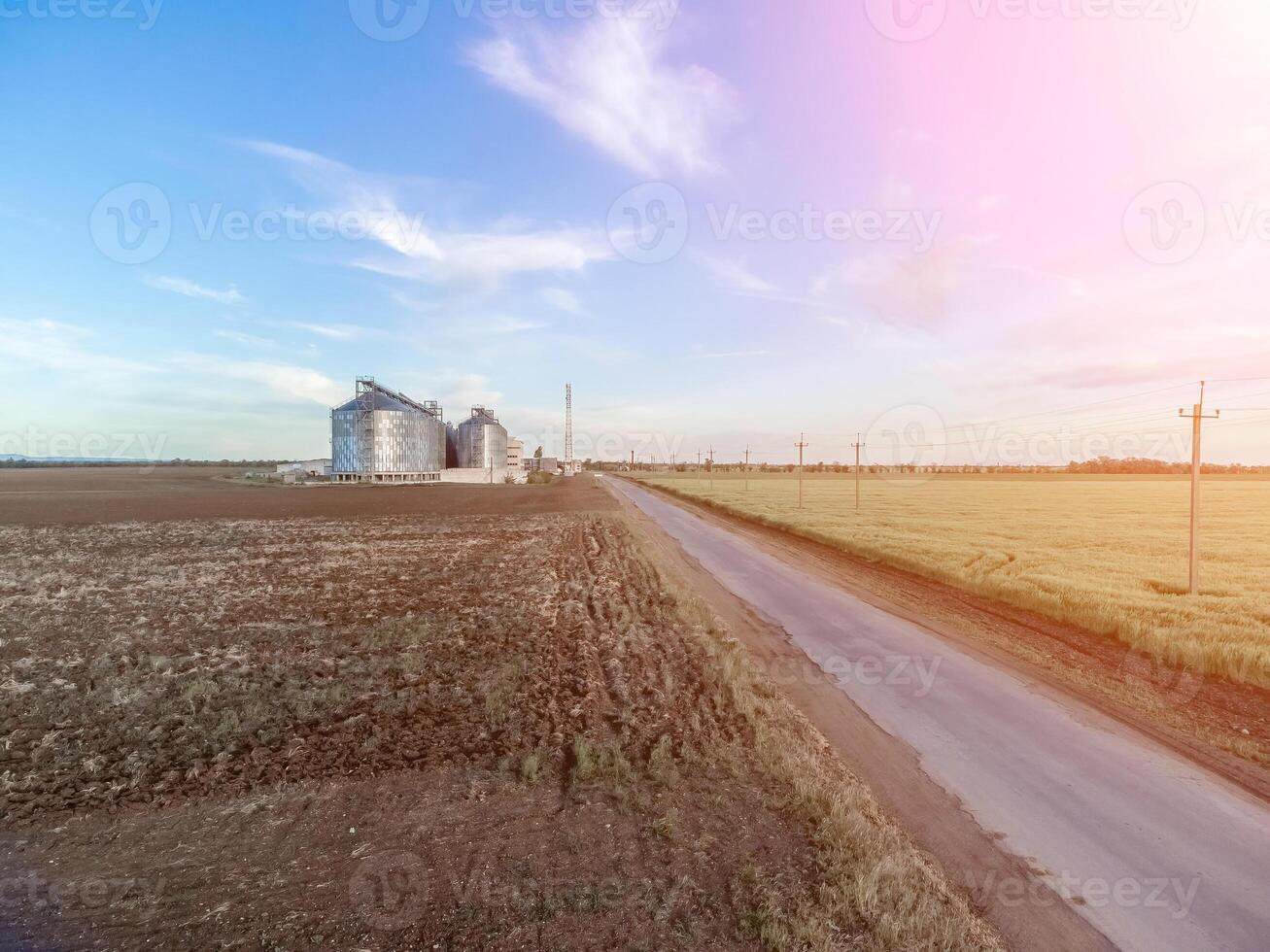 Grain silos on a green field background with warm sunset light. Grain elevator. Metal grain elevator in agricultural zone. Agriculture storage for harvest. Aerial view of agricultural factory. Nobody. photo