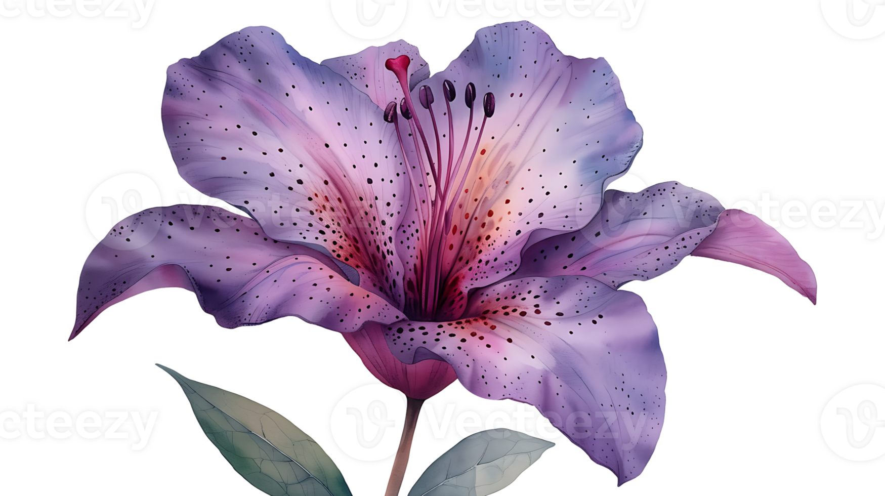 AI generated Watercolor flowers on a transparent background png