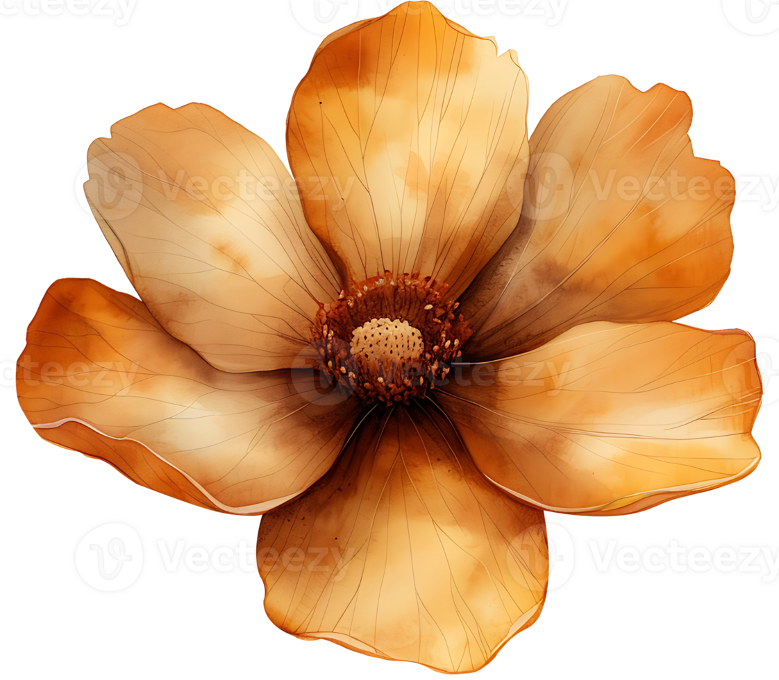 AI generated Watercolor flowers on a transparent background png