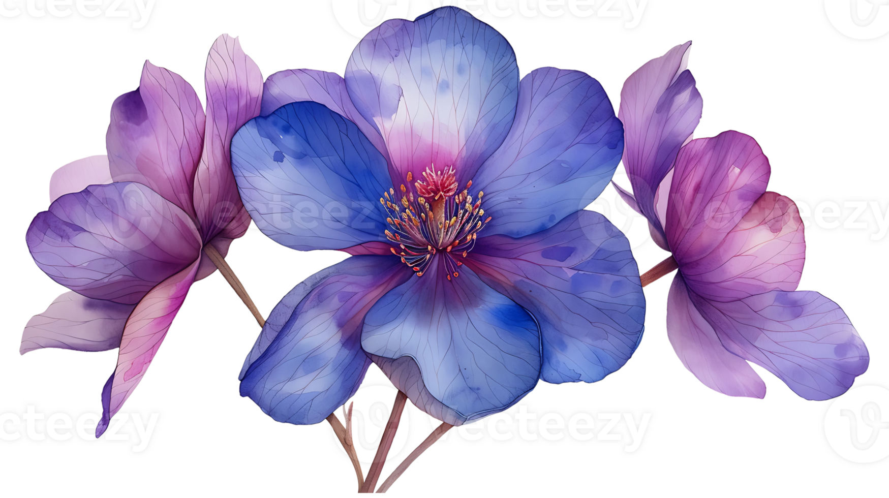 AI generated Watercolor flowers on a transparent background png