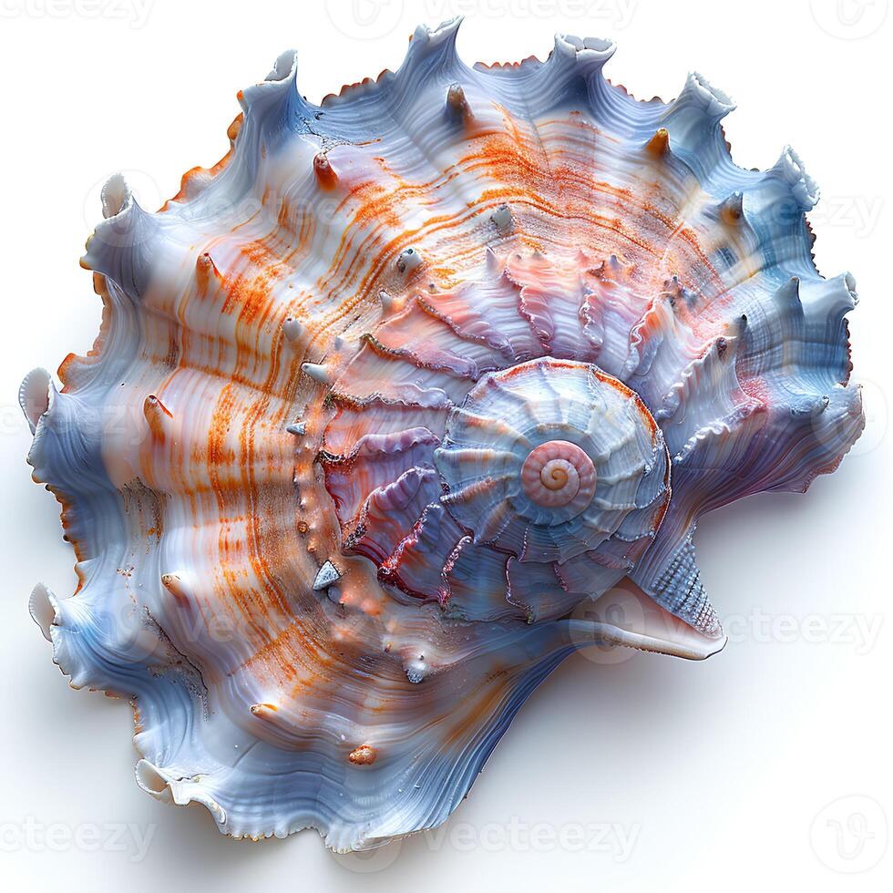 AI generated Colorful seashell isolated on white background with shadow. Sea shell isolated. Colorful salt water seashell top view. Seashell flat lay photo
