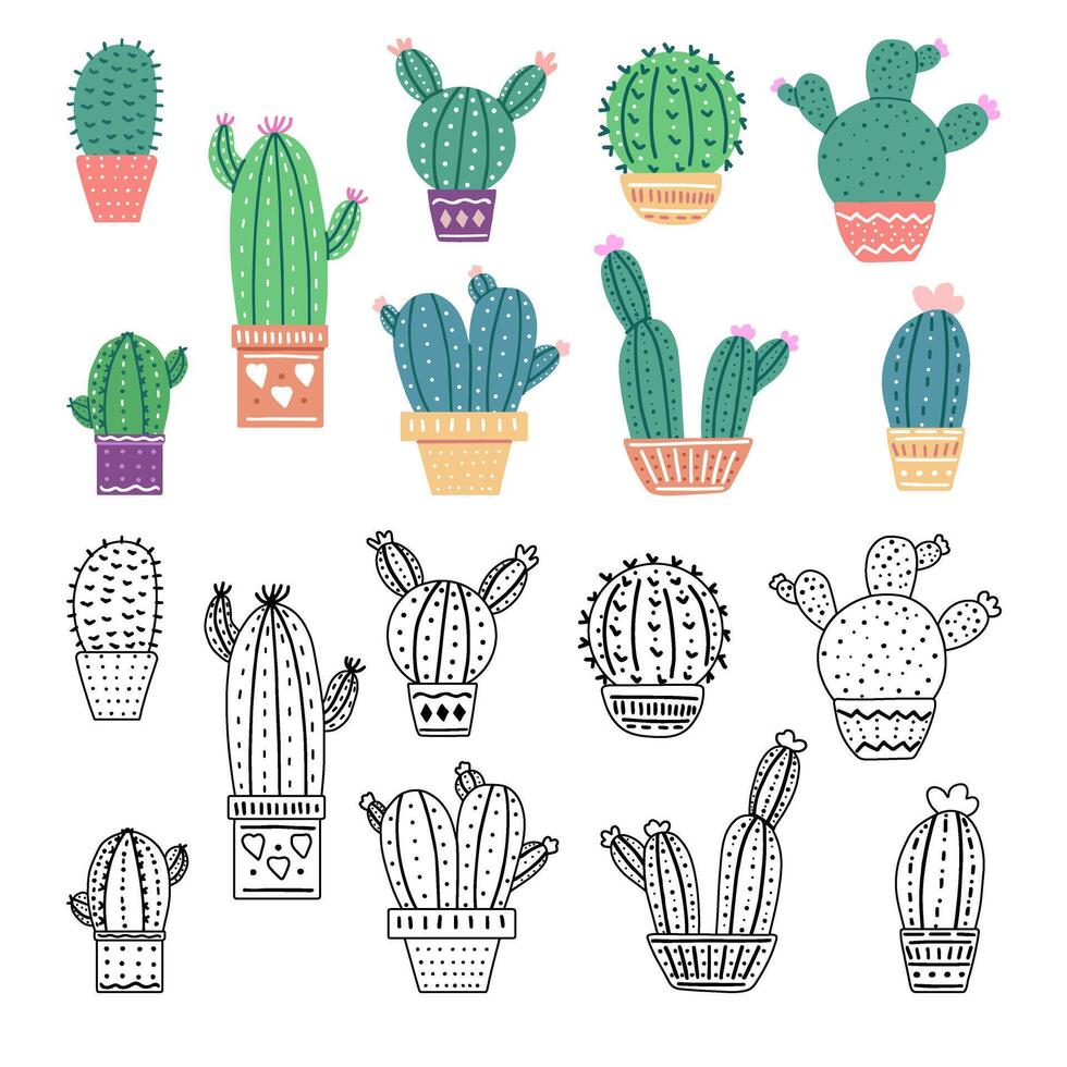 A set of hand-drawn outline and colored vector cacti isolated on white background. Doodle and flat style illustrations of spiny plants, blooming cactus, succulent plants in pots. Home plants.