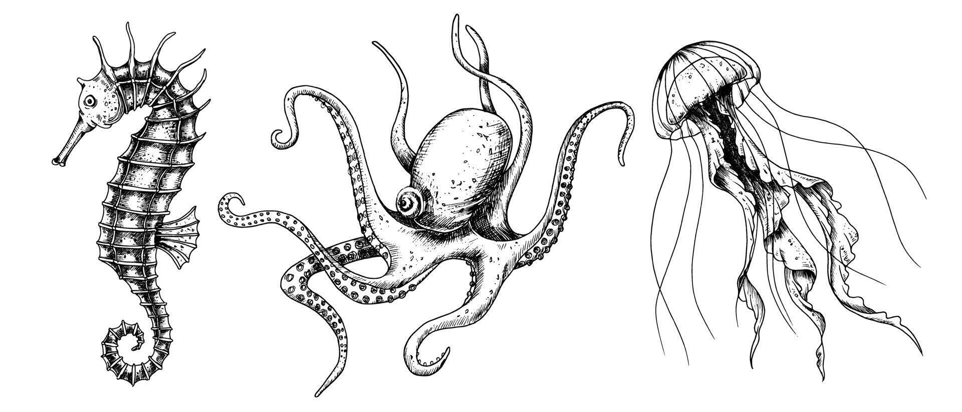 Vector set with Sea Animals. Hand drawn sketch of Seahorse, Jellyfish and Octopus. Illustration with underwater sealife painted by black inks in line art style. Engraving of medusa for icon or logo