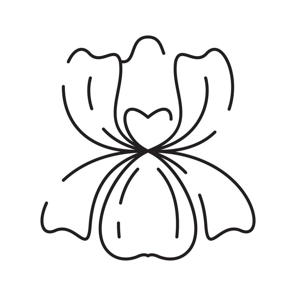 Spring flowers line icon. Forest fern eucalyptus art foliage natural leaves herbs. Decorative beauty elegant illustration for design hand drawn flower. vector