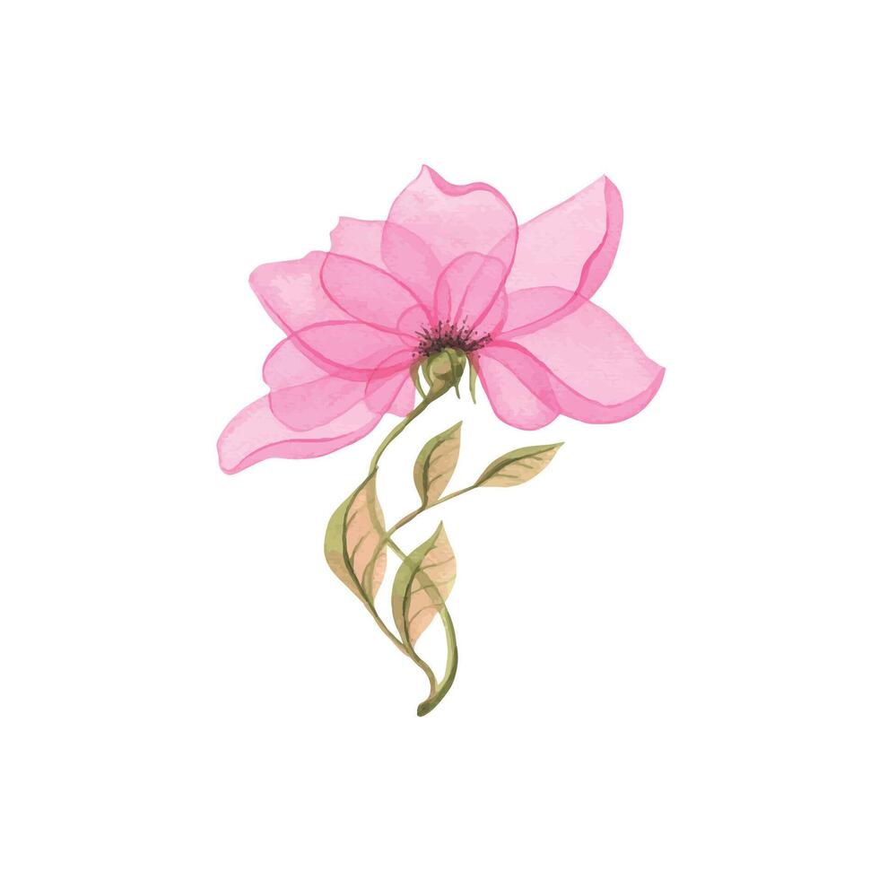 Watercolor illustration of a simple, delicate, pink flower, abstract. For decoration and design, postcards, posters, prints on clothes, patterns vector