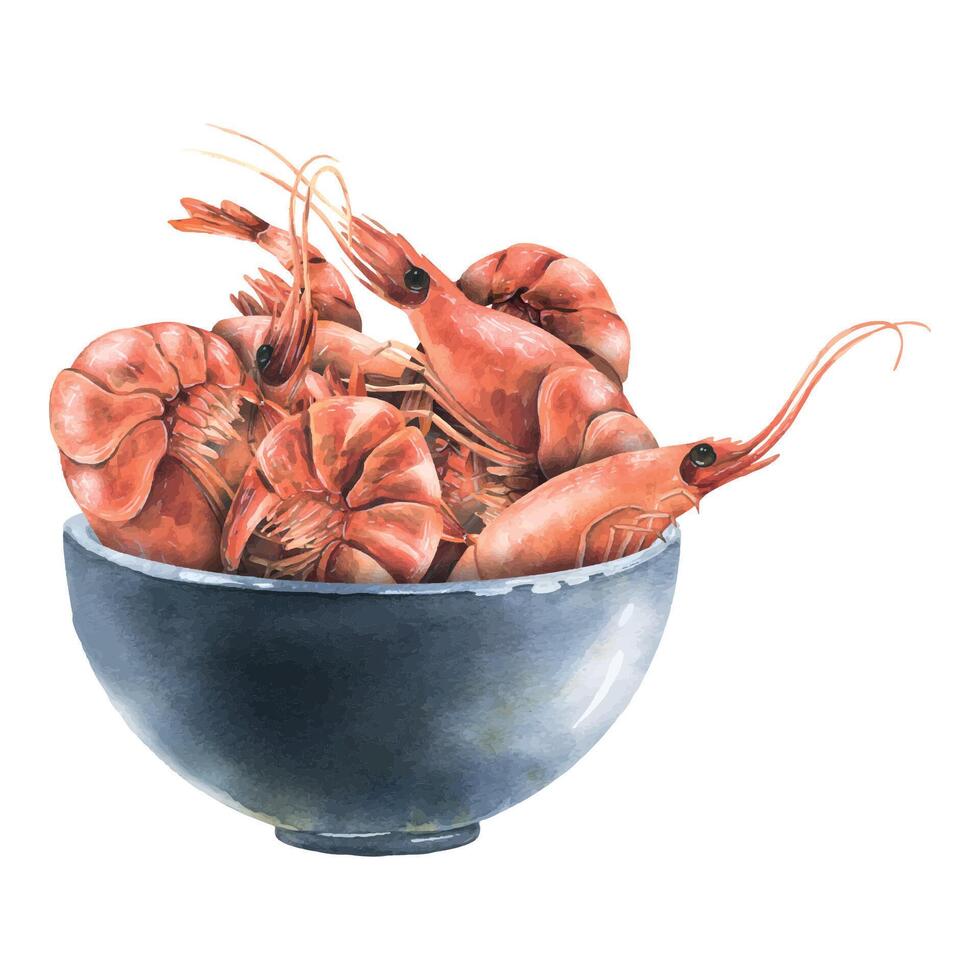 Boiled shrimp in a ceramic bowl. Watercolor illustration. Composition from the SHRIMP collection. For the design and design of menus, recipes, cafes, restaurants, shops, packaging, logos, price tags. vector