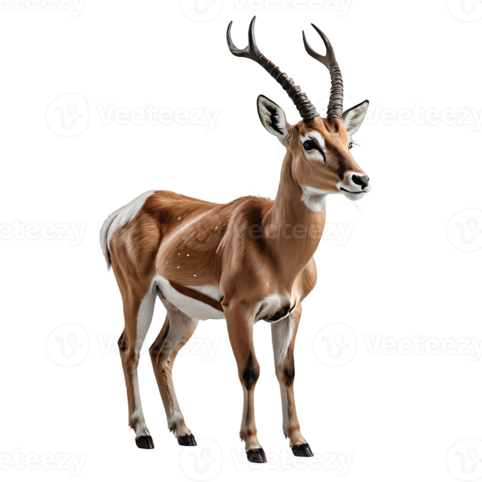 AI generated antelope isolated transparent background PNG. png