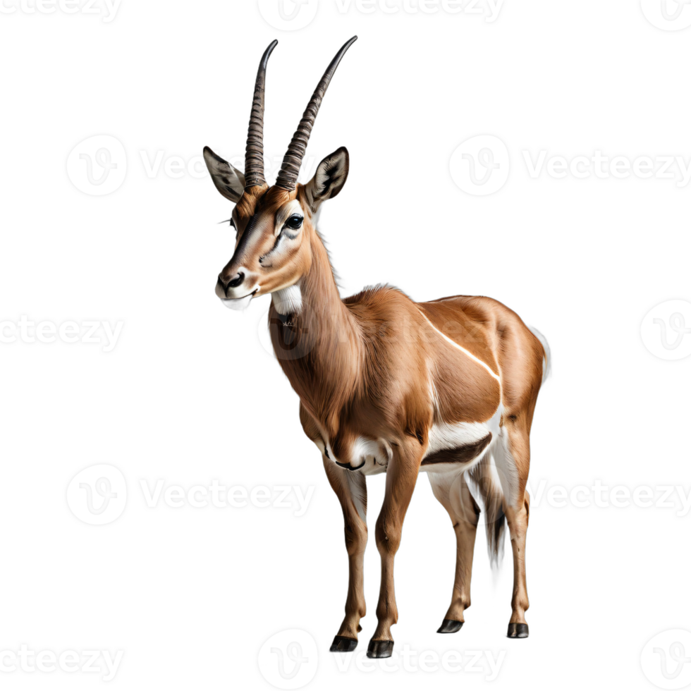 AI generated antelope isolated transparent background PNG. png
