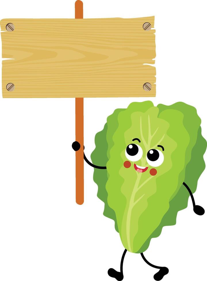 Funny lettuce mascot holding a wooden sign vector