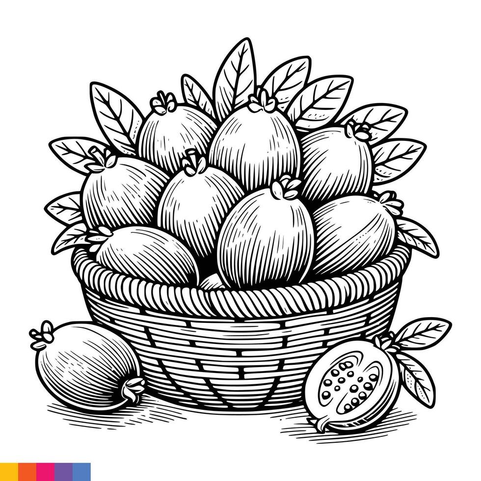 Fruit Basket line art illustration for the coloring book. Fruits coloring page. Vector graphics