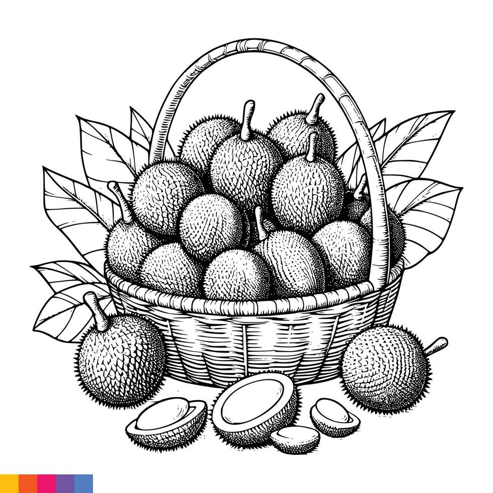 Fruit Basket line art illustration for the coloring book. Fruits coloring page. Vector graphics