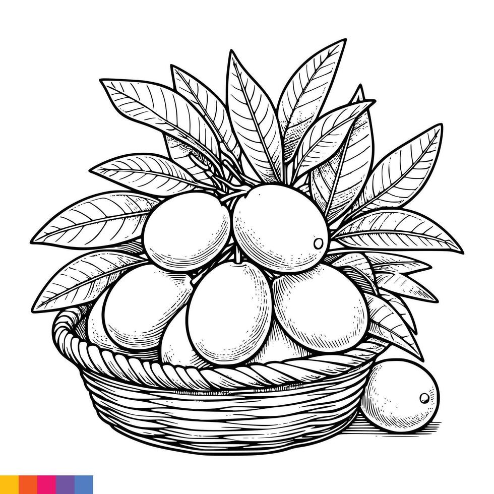 Fruit Basket line art illustration for the coloring book. Fruits coloring page. Vector graphics