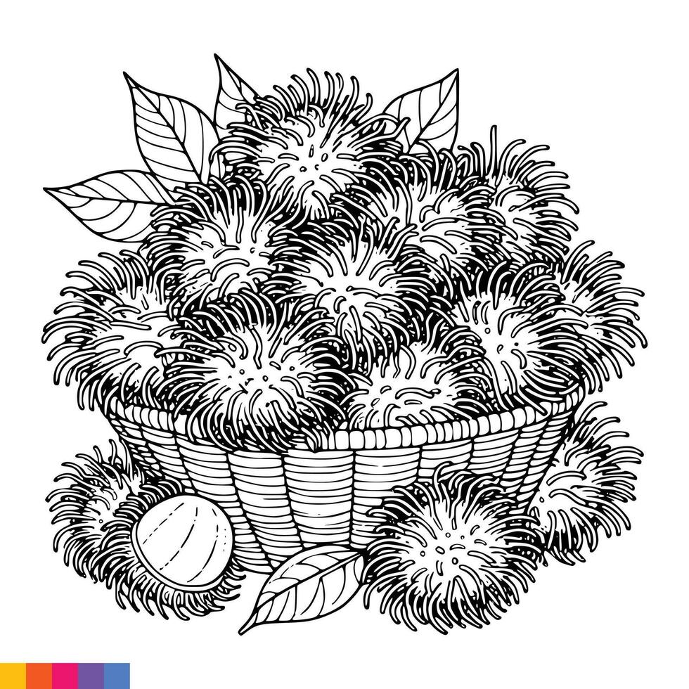 Fruit Basket line art illustration for the coloring book. Fruits coloring page. Vector graphics