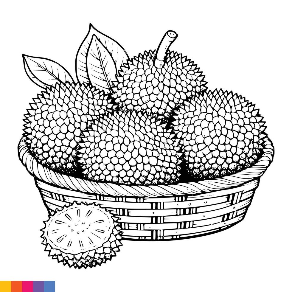 Fruit Basket line art illustration for the coloring book. Fruits coloring page. Vector graphics