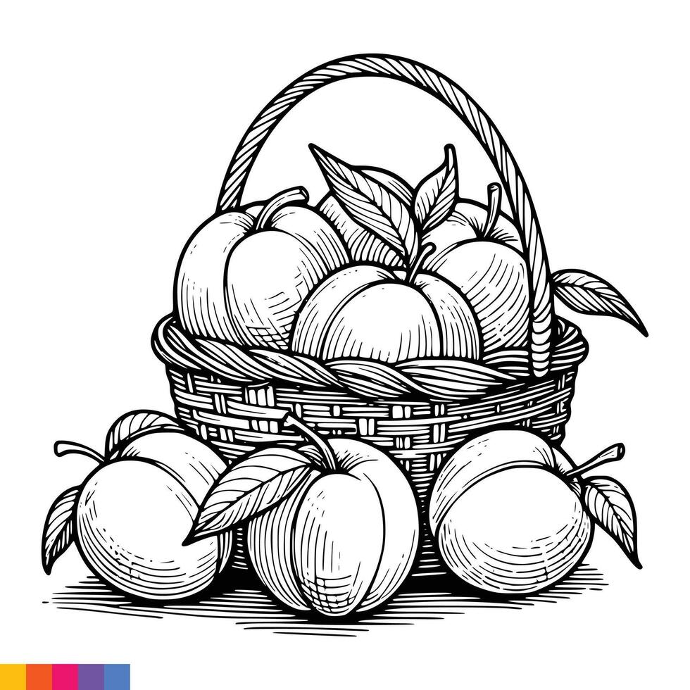 Fruta cesta línea Arte ilustración para el colorante libro. frutas colorante página. vector gráficos