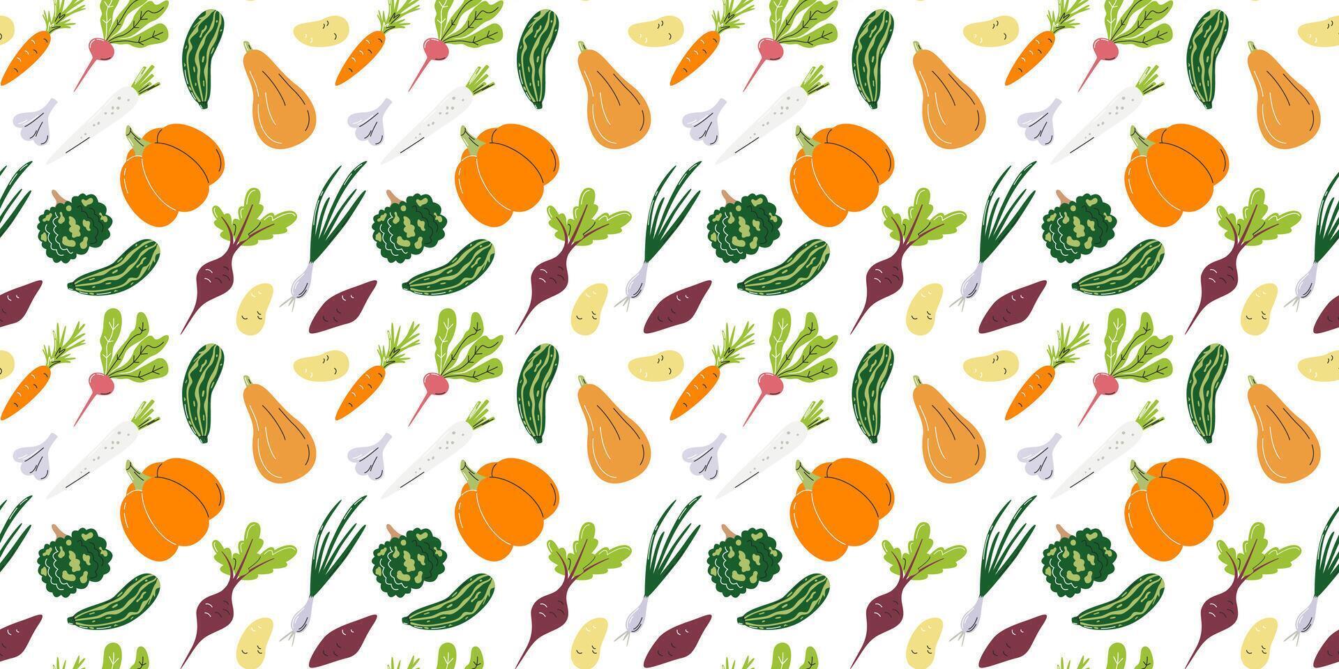 Vegetable seamless pattern with potato, pumpkin, and beet. Agricultural and organic food print design. Horizontal background isolated on white. Nightshade family hand drawn flat vector illustration