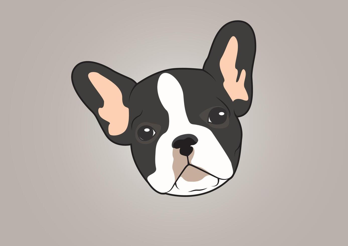 Cute Two-Tone French Bulldog vector