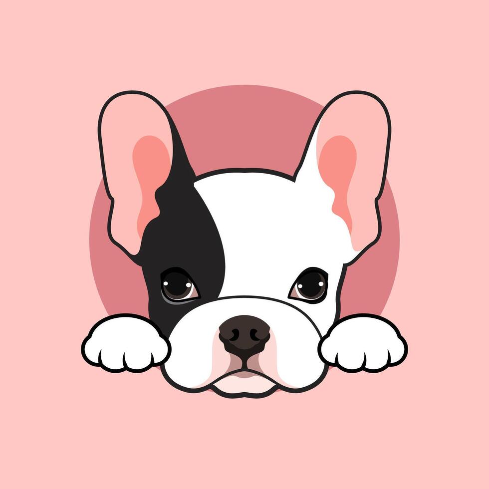 Cute black and white French Bulldog puppy poses at the small open tunnel in pink background vector