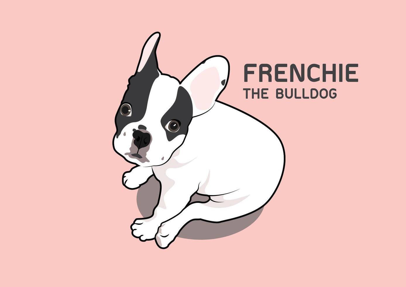 Cute Two-Tone French Bulldog Vector
