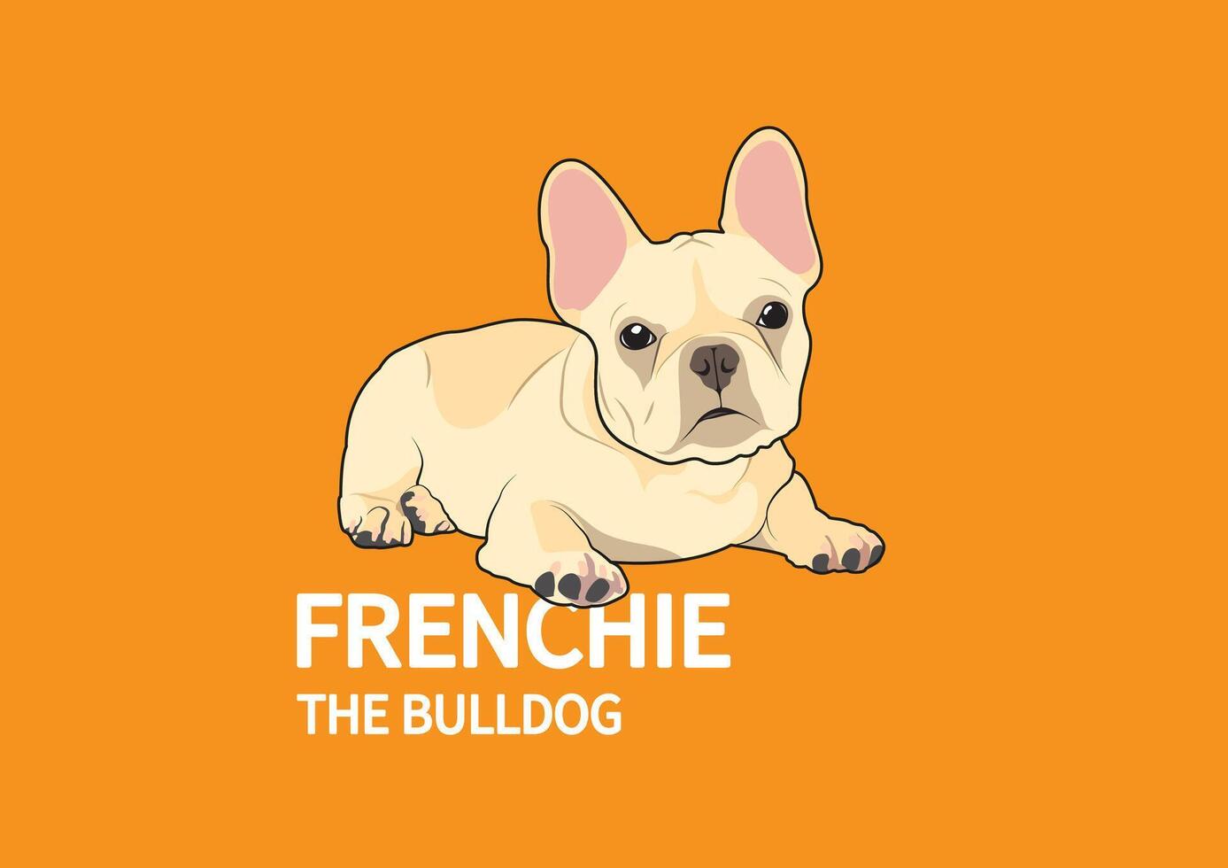 Cute Fawn Brown French Bulldog in The Orange Background vector