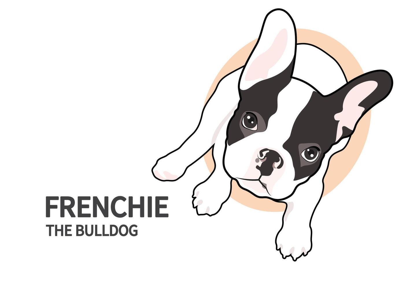 Cute Two-Tone Frenchie sits and just looks at you vector