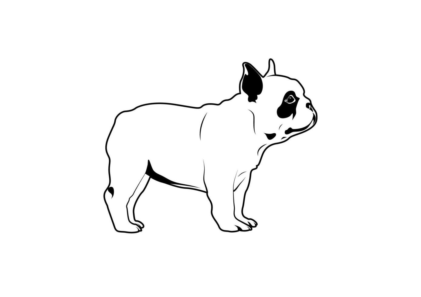 Cute French Bulldog Stand with Her Short Legs in Black and White vector