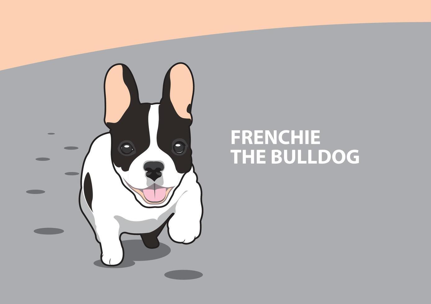 A cute Black and White French Bulldog is jogging along the beach vector