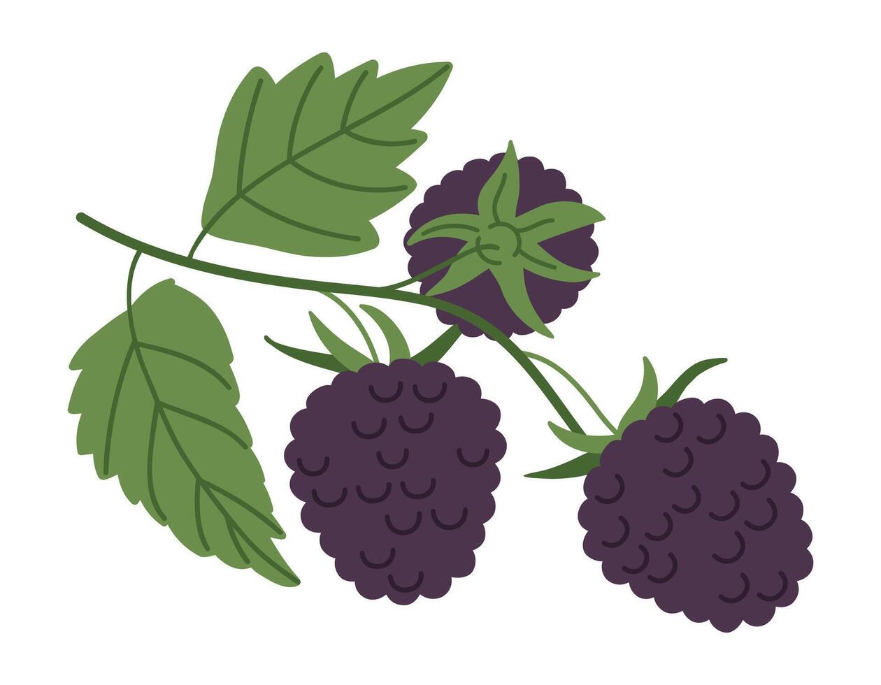 maduro Mora. jugoso Mora y verde hojas, rama con Fresco moras, Fresco bayas para sano nutrición plano vector ilustración. Mora ramita