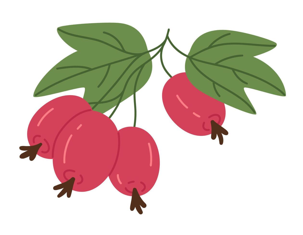 jugoso rosa mosqueta bayas. mano dibujado comestible rosa mosqueta bayas en rama, Fresco rojo bayas para sano nutrición plano vector ilustración. delicioso bosque rosa mosqueta baya