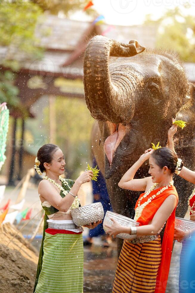 hermosa tailandés joven mujer mercancía tailandés tradicional vestir jugar a espolvorear agua en el tailandés nuevo años día o Songkran festival en un divertido camino con elefante en Dom brillante antecedentes. foto