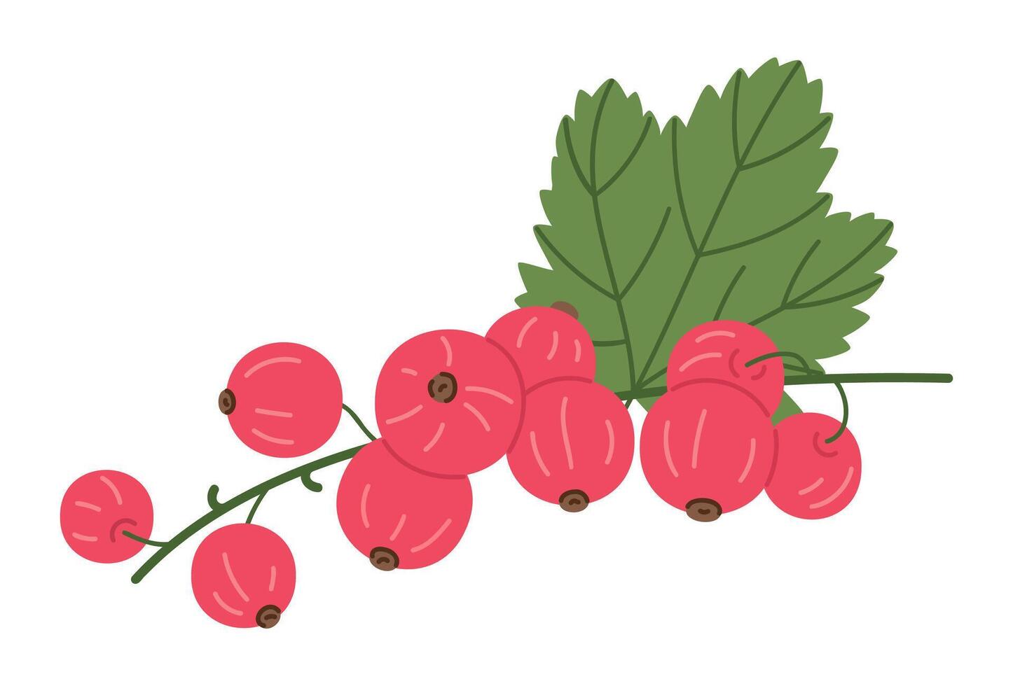 Ripe red currants. Branch with fresh red berries, red currant and green leaves, juicy berries for healthy nutrition flat vector illustration. Ripe red currants