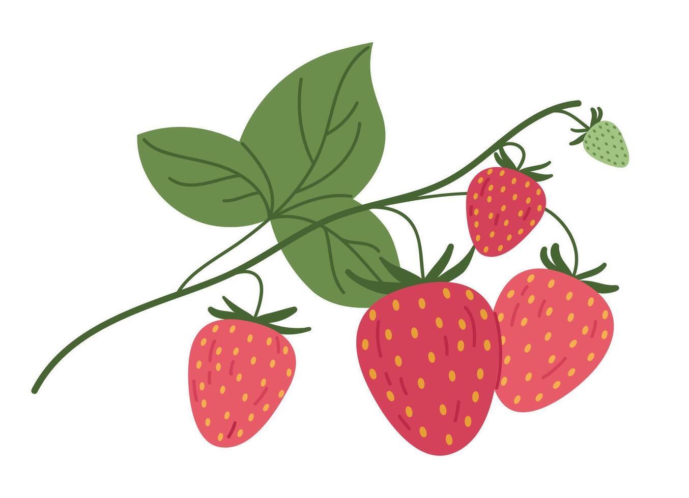 Hand drawn strawberries. Edible red berries for healthy nutrition, delicious forest strawberry branch flat vector illustration. Juicy strawberries