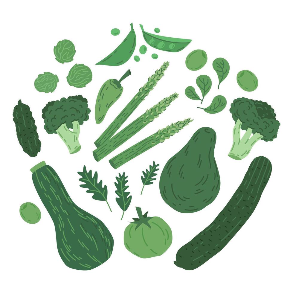 Doodle green vegetables. Hand drawn pepper, squash, broccoli, cucumber and arugula vector illustration set. Organic healthy lifestyle veggies