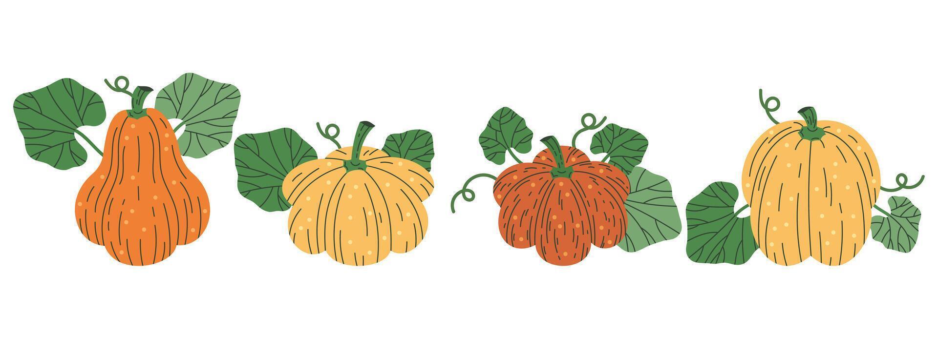 Víspera de Todos los Santos fiesta calabazas mano dibujado otoño calabazas decoraciones vector ilustración íconos colocar. Víspera de Todos los Santos calabazas símbolos