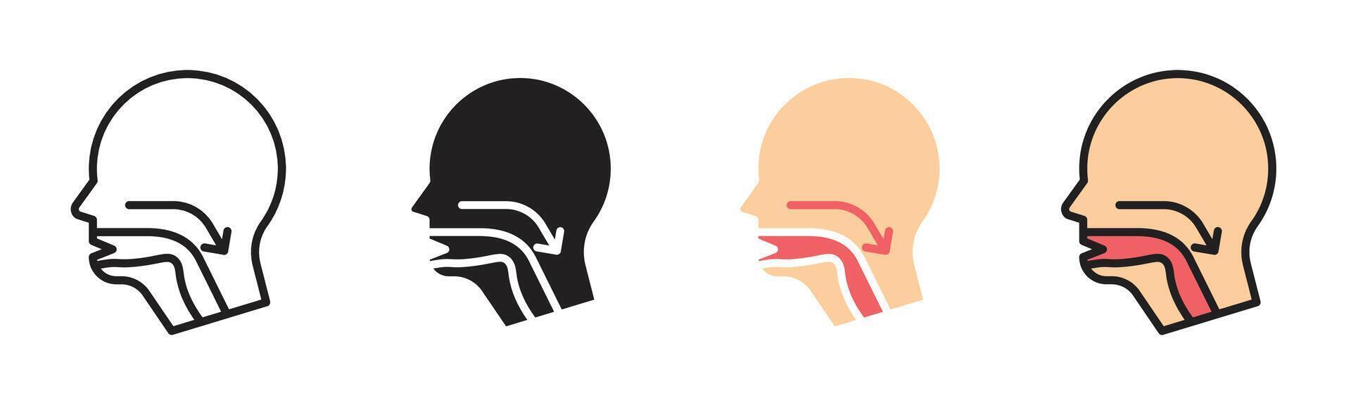 Swallowing reflex icon vector