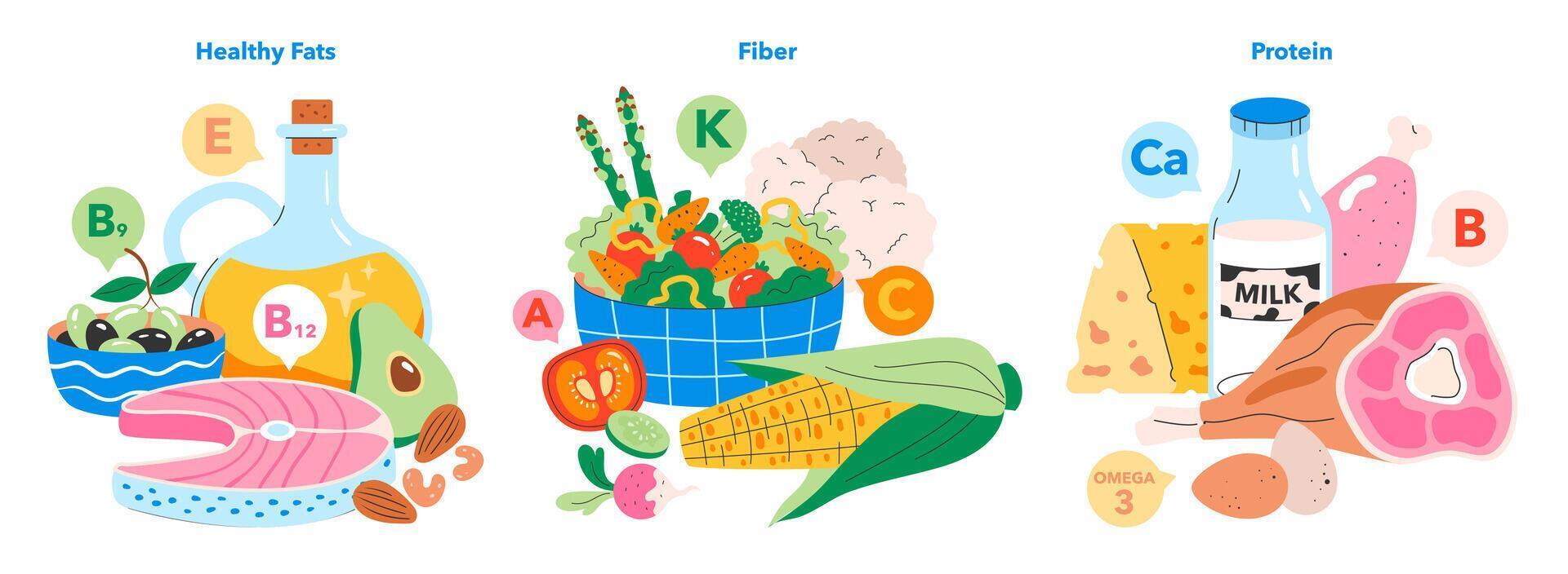 Nutrient Rich Foods Set. Vector illustration.