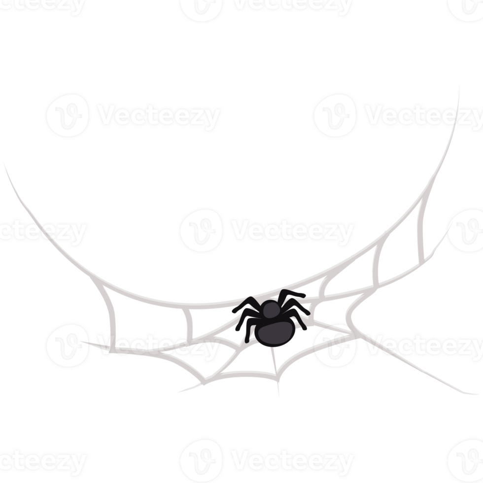 Spider web and spider png
