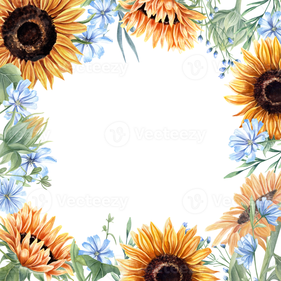Graphic frame with sunflowers, abstract meadow plants. Blue, orange yellow flowers. Floral summer composition with copy space for text. Watercolor illustration png