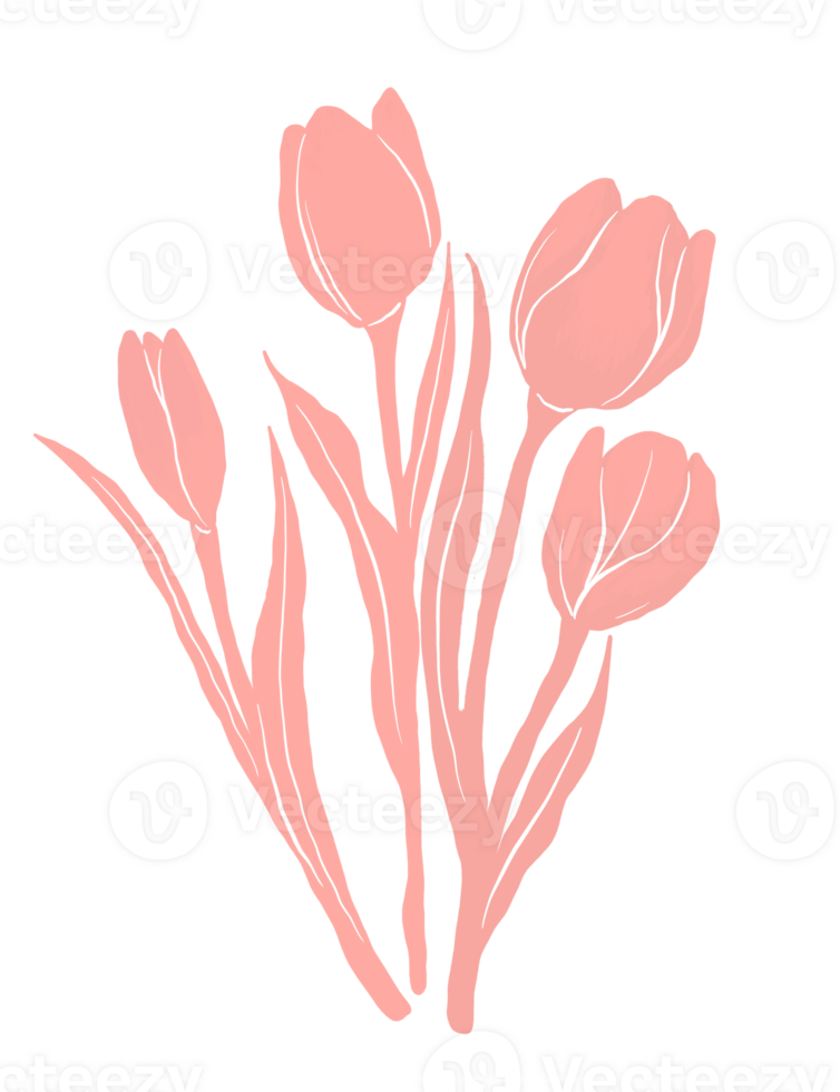 Pink tulip floral illustration png