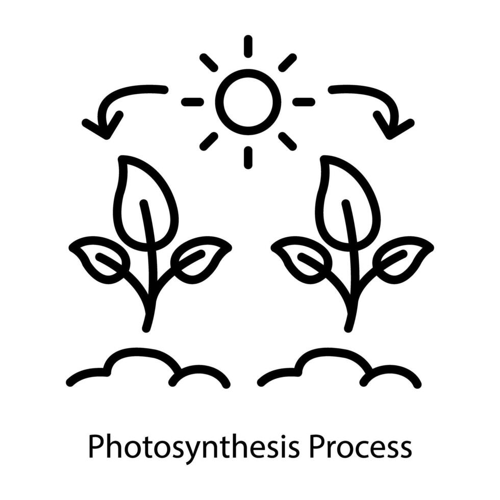 de moda fotosíntesis proceso vector