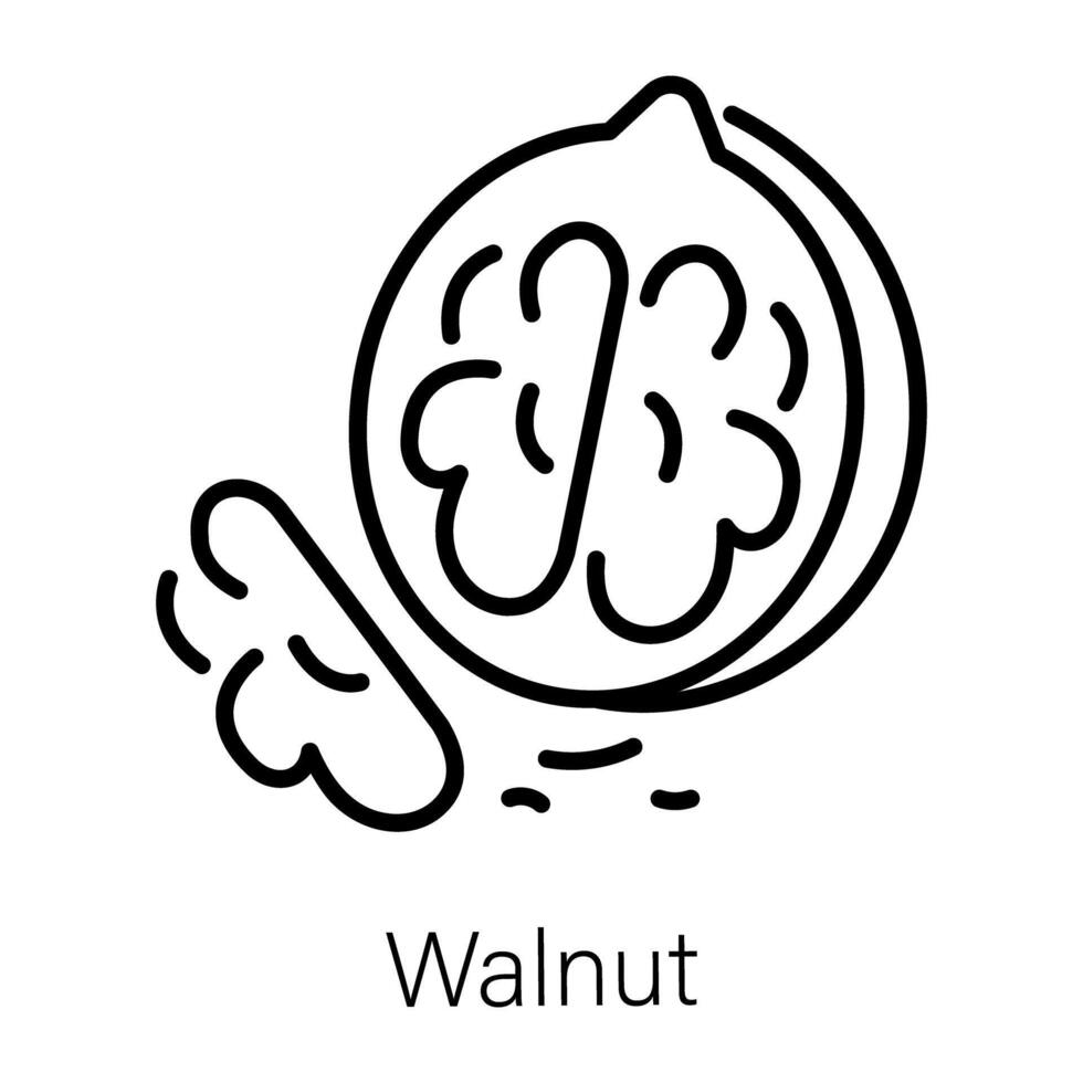 Trendy Walnut Concepts vector