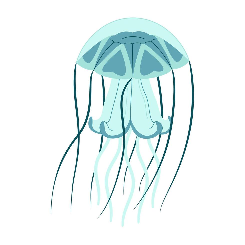Cartoon jellyfish flat style. Medusa vector illustration. Modern flat illustration Jellyfish isolated on white background. Vector illustration