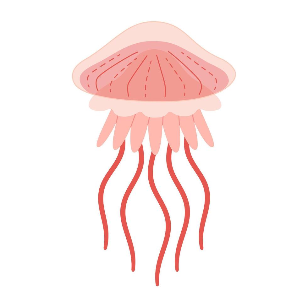dibujos animados rosado Medusa plano estilo. medusa vector ilustración. moderno plano ilustración Medusa aislado en blanco antecedentes. vector ilustración