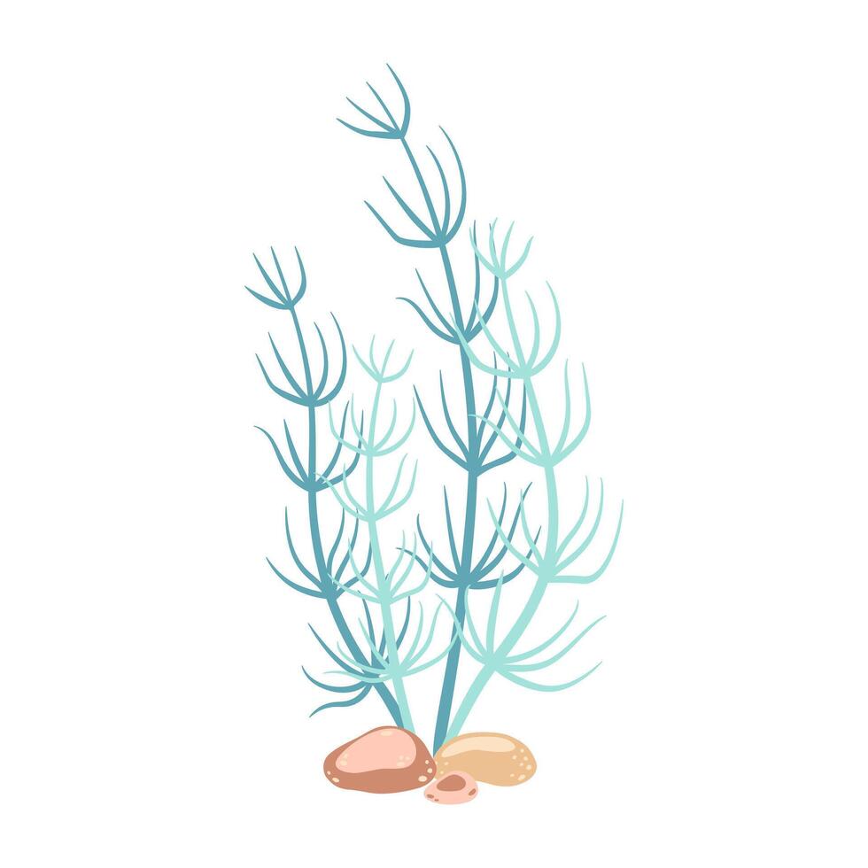 Seaweed. Hand drawn algae colorful seaweed. Underwater plants. Modern flat illustration. Vector illustration