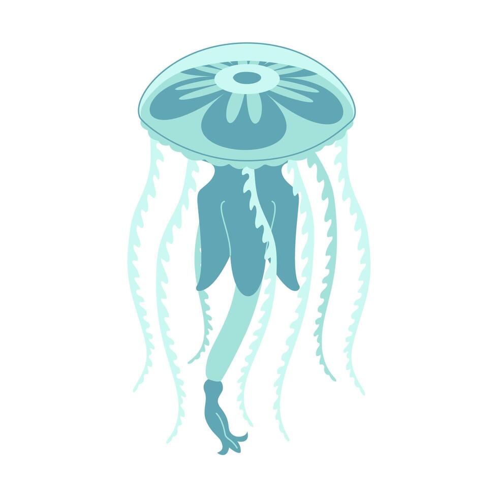 Cartoon jellyfish flat style. Medusa vector illustration. Modern flat illustration Jellyfish isolated on white background. Vector illustration