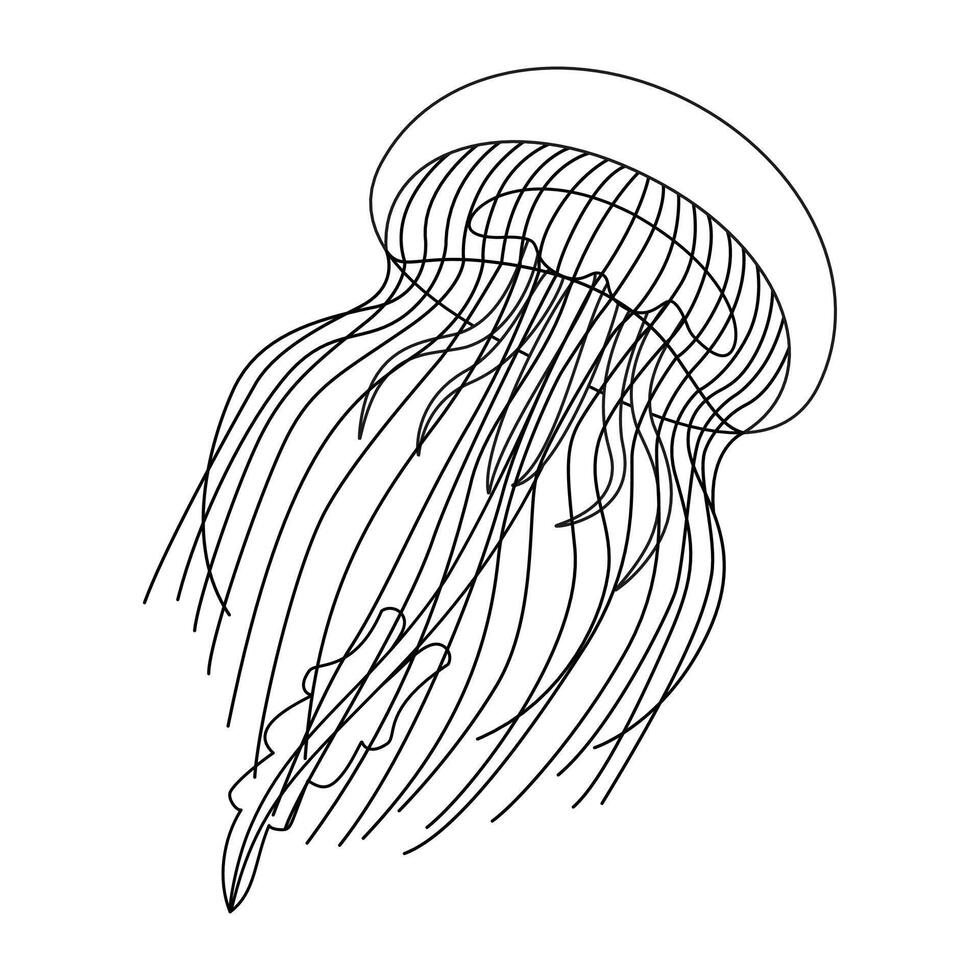 Medusa línea Arte vector ilustración. negro y blanco contorno Medusa colorante página para niños y adultos página para relajación y meditación. vector ilustración
