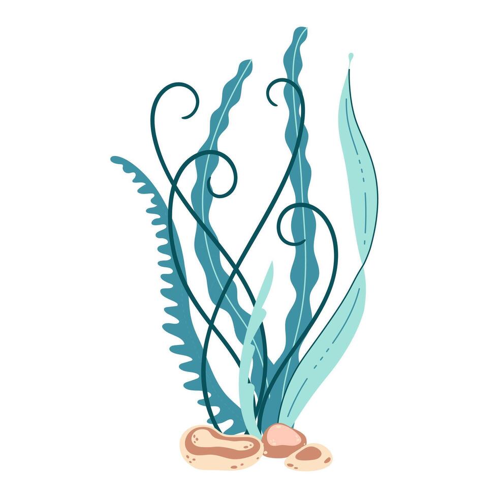 algas marinas. mano dibujado algas vistoso algas marinas. submarino plantas. moderno plano ilustración. vector ilustración