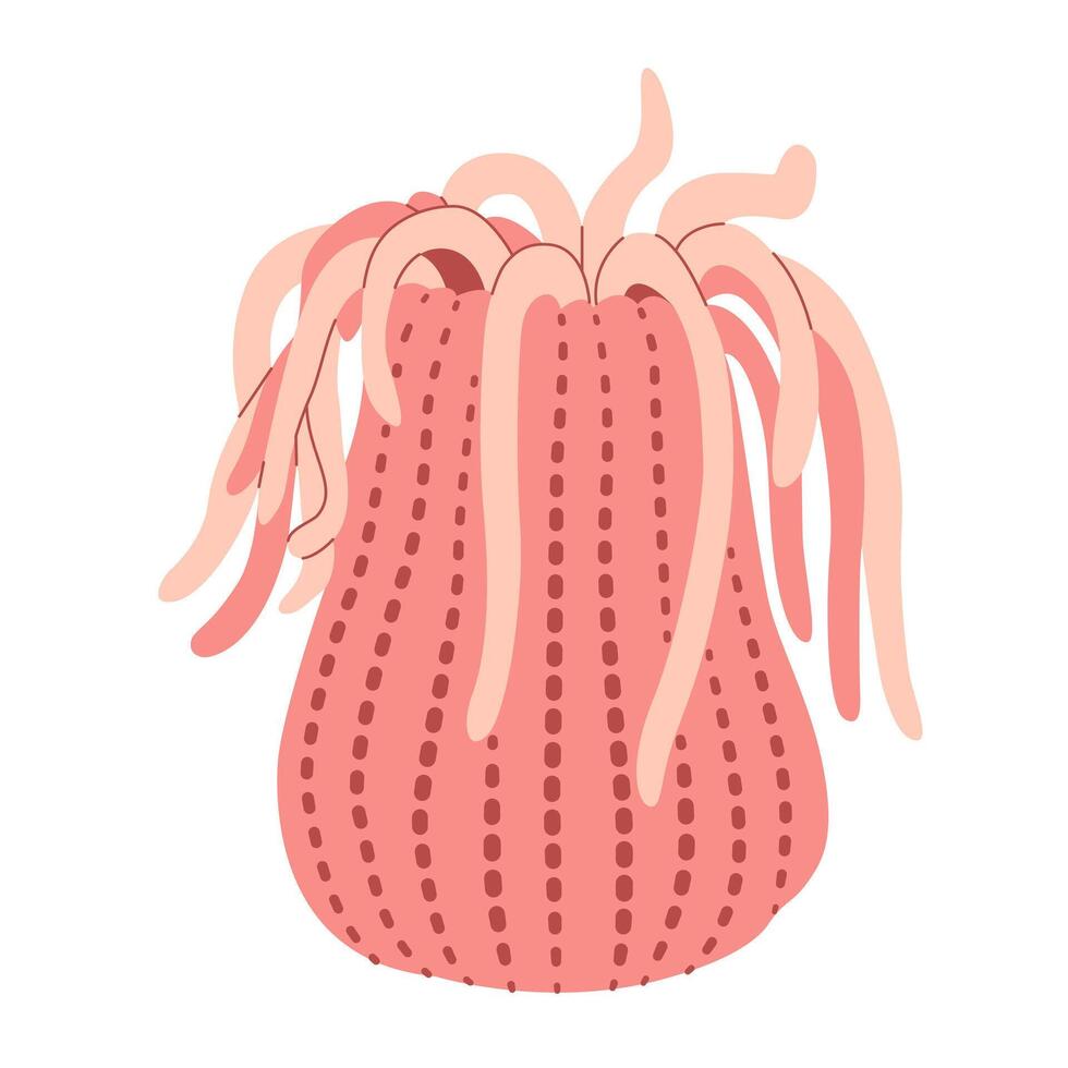 Sea anemones hand drawn. Pink Actiniaria. Exotic coral reef underwater nature life. Modern flat illustration. Vector illustration