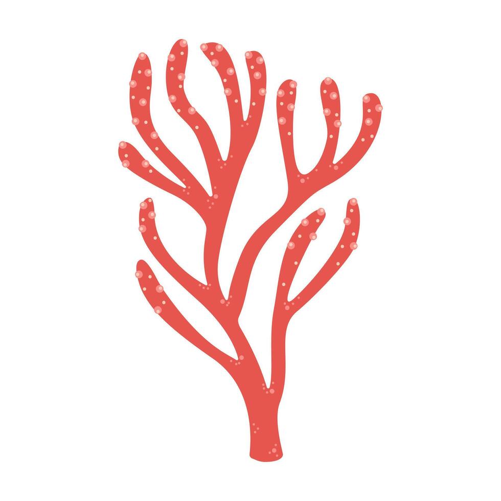 rojo corales alcyonacea mano dibujado precioso coral. exótico coral arrecife submarino naturaleza vida. mar vida moderno plano ilustración. objeto aislado en blanco antecedentes. logo, silueta. vector ilustración